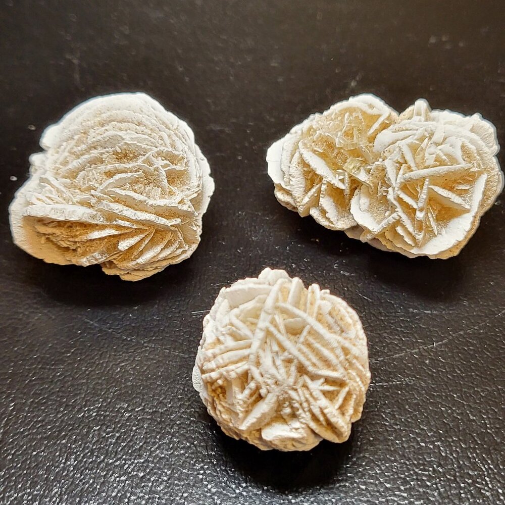 Desert Rose Gypsum Raw Mineral 3 pieces